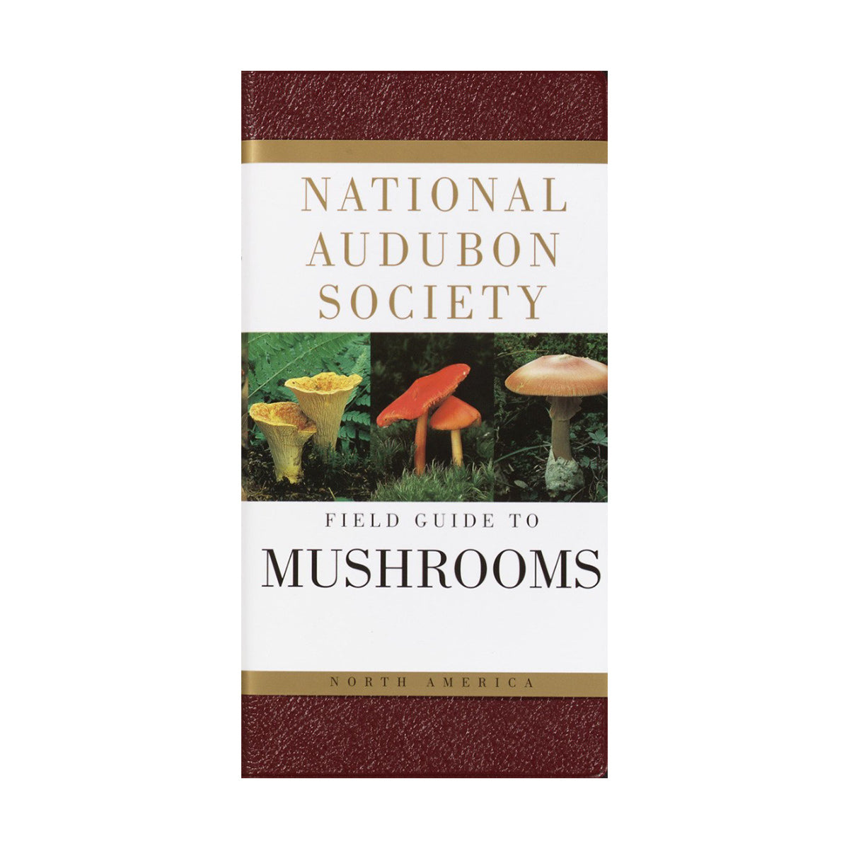NAMushrooms