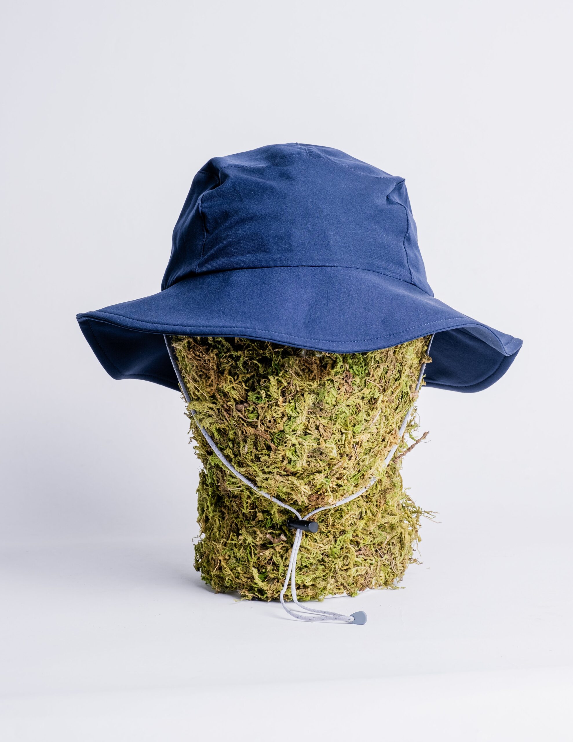 Windthrow0815