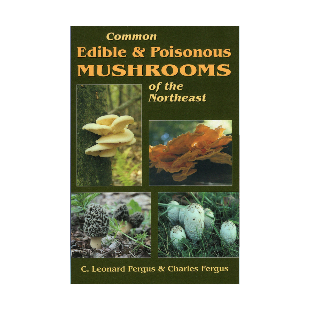 ediblemushroomsnortheast