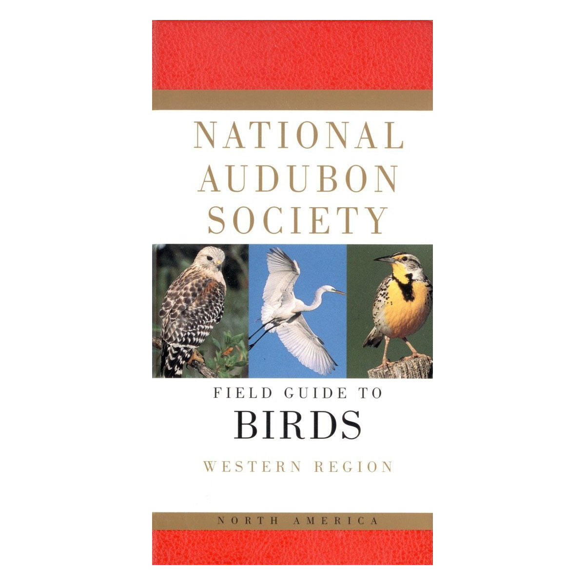 western_birds
